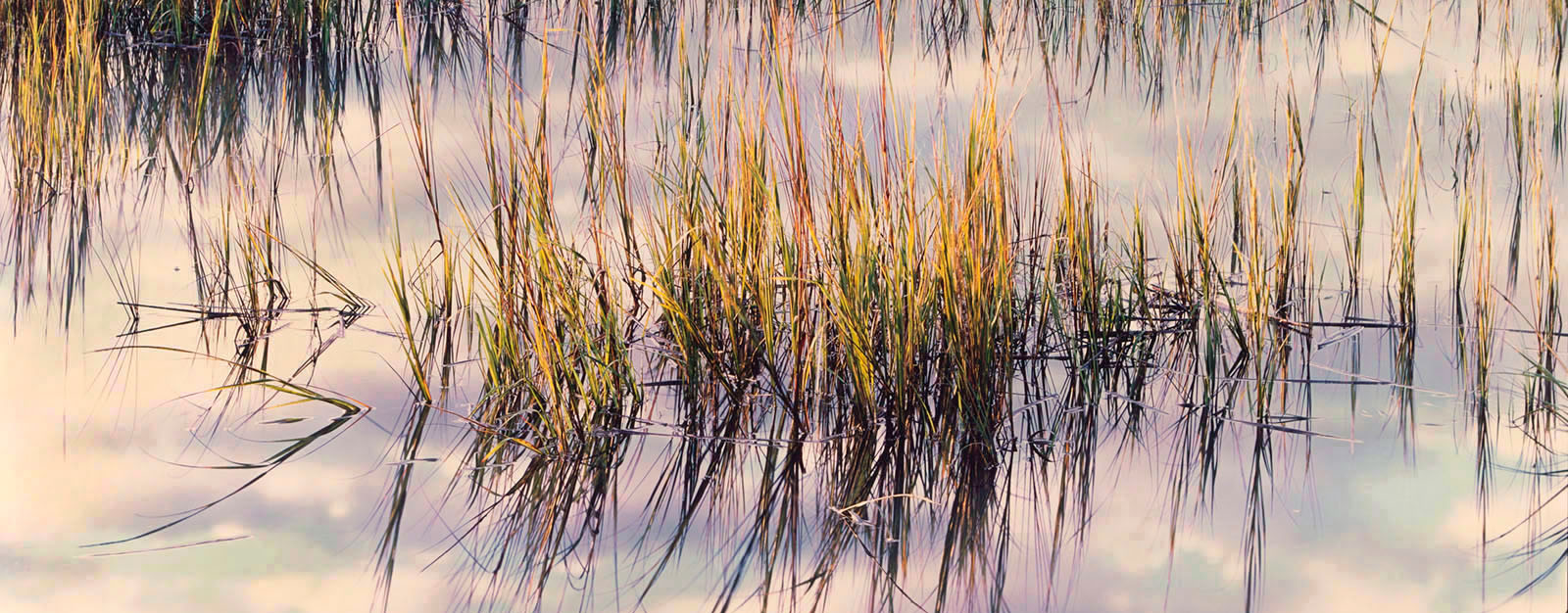 Christopher Burkett — Large Format Photography